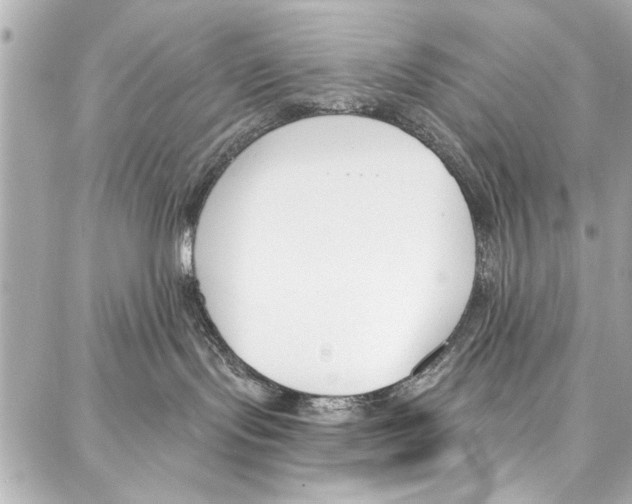 X0000086880095200705141421