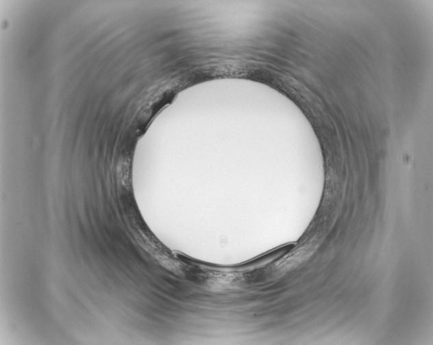 X0000086880096200705141421