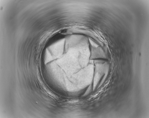 X0000086880097200705141420