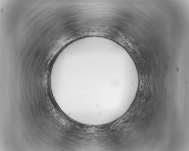 X0000086880098200705141420