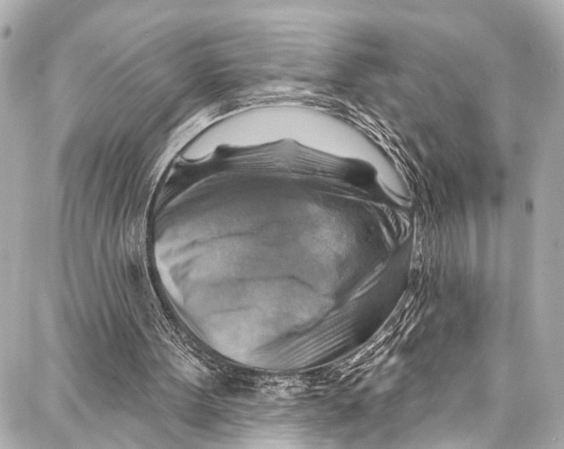 X0000086880099200705141420