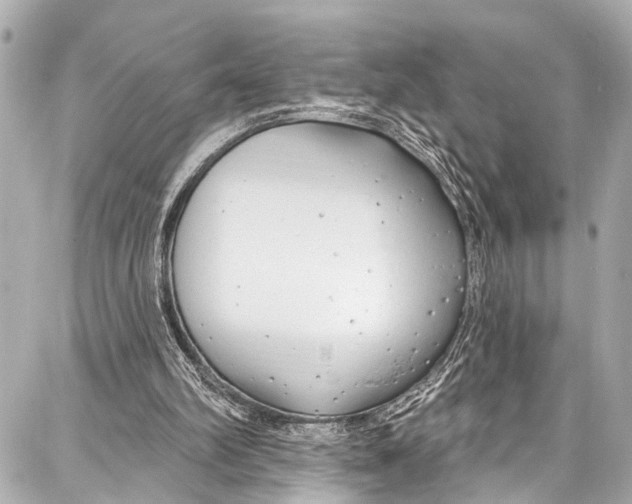 X0000086880102200705141420