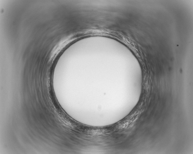 X0000086880103200705141420