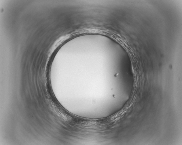 X0000086880104200705141420