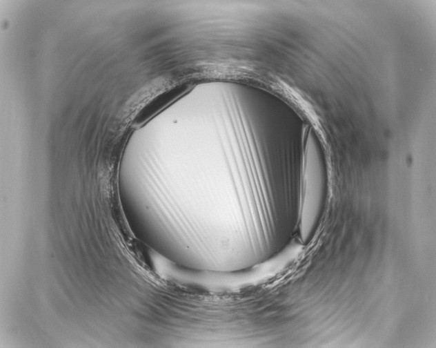 X0000086880105200705141420