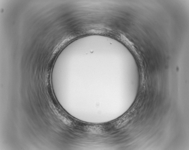 X0000086880106200705141420