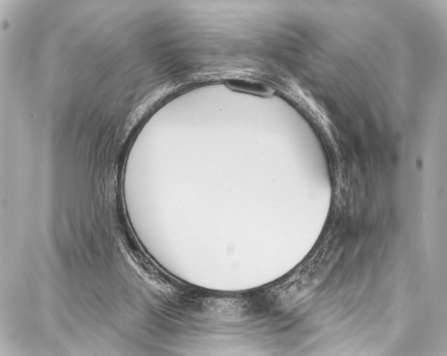 X0000086880107200705141420