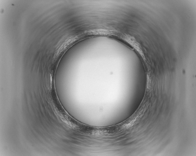 X0000086880109200705141420