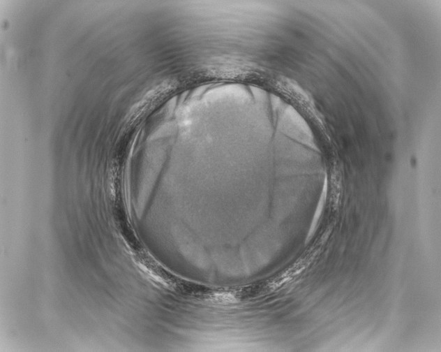 X0000086880114200705141420