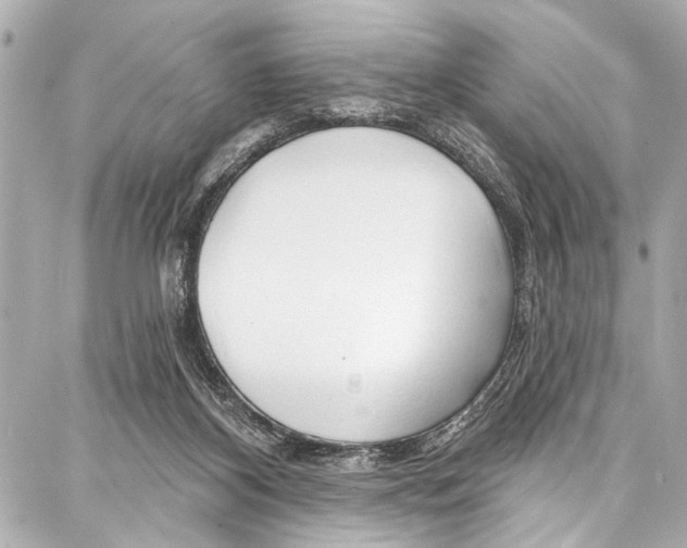 X0000086880116200705141420