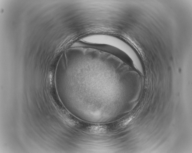 X0000086880117200705141420