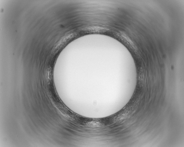 X0000086880119200705141420