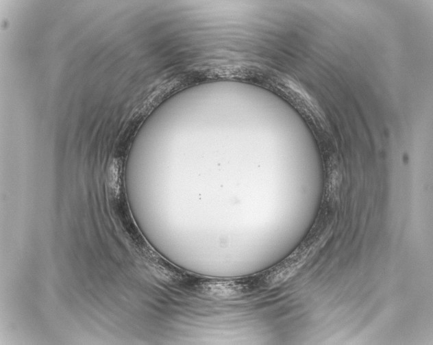 X0000086880121200705141420