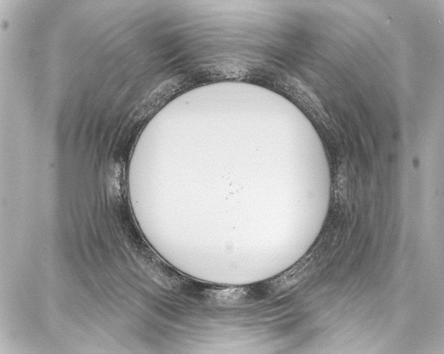 X0000086880122200705141420