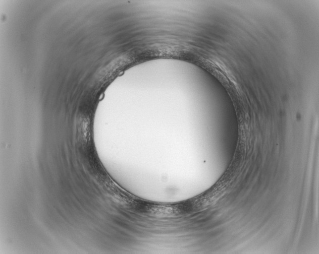 X0000086880123200705141420