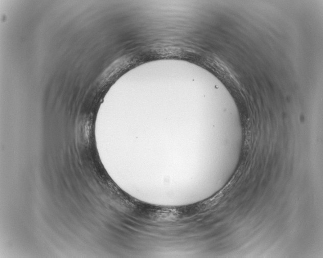 X0000086880124200705141420