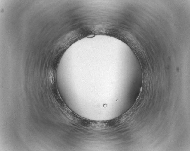 X0000086880125200705141420