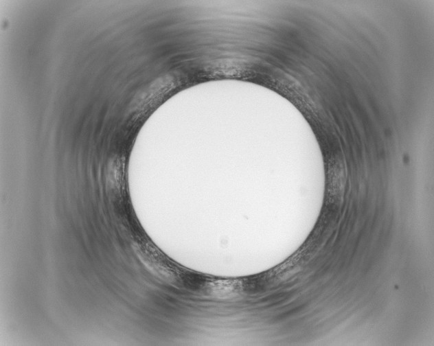 X0000086880126200705141420