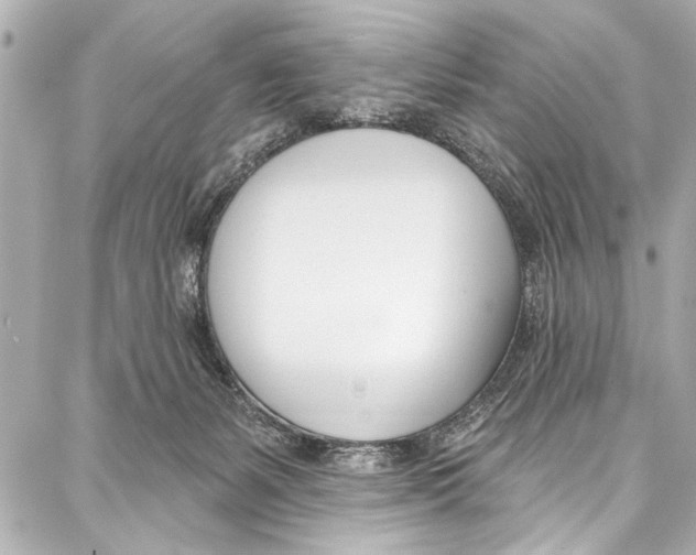 X0000086880127200705141420