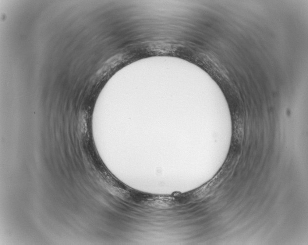 X0000086880128200705141420