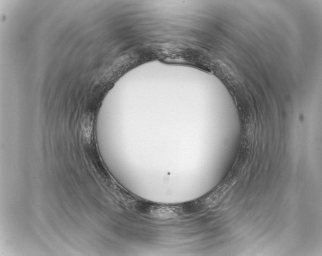 X0000086880129200705141420