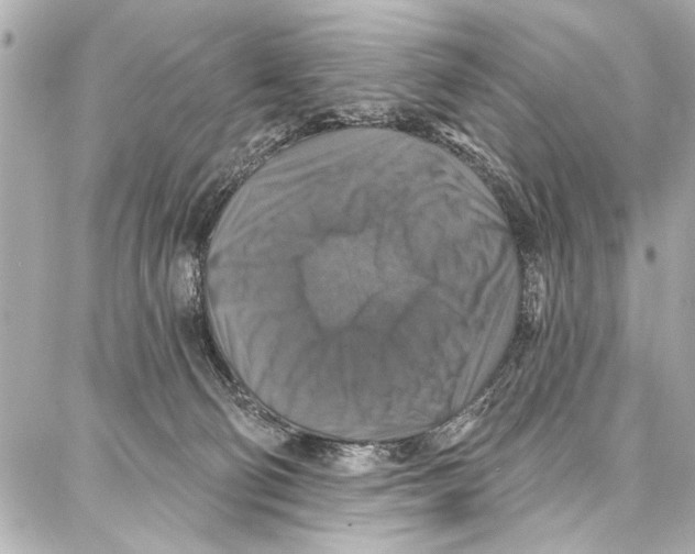 X0000086880130200705141420