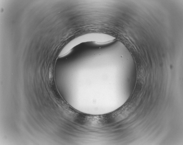 X0000086880131200705141420