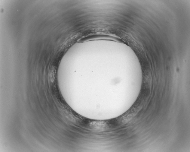 X0000086880133200705141420