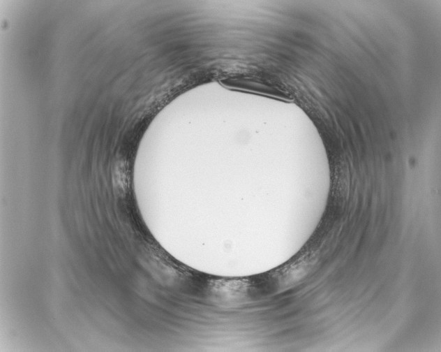 X0000086880135200705141420