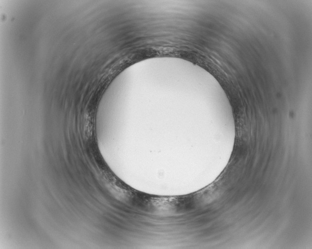 X0000086880136200705141420