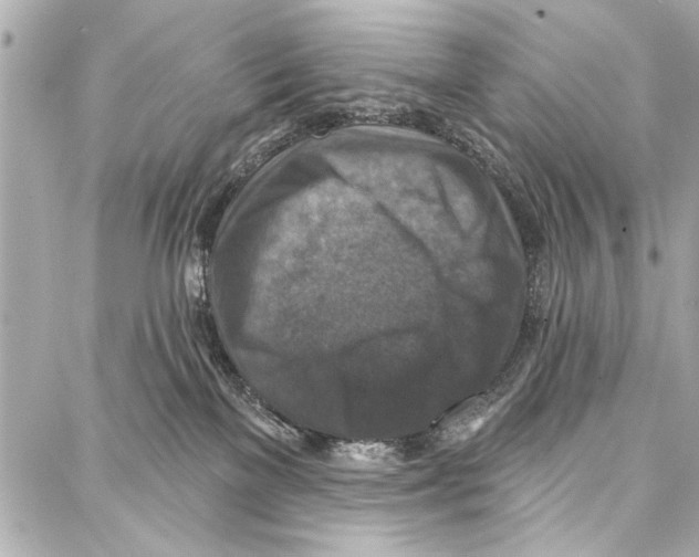 X0000086880137200705141420