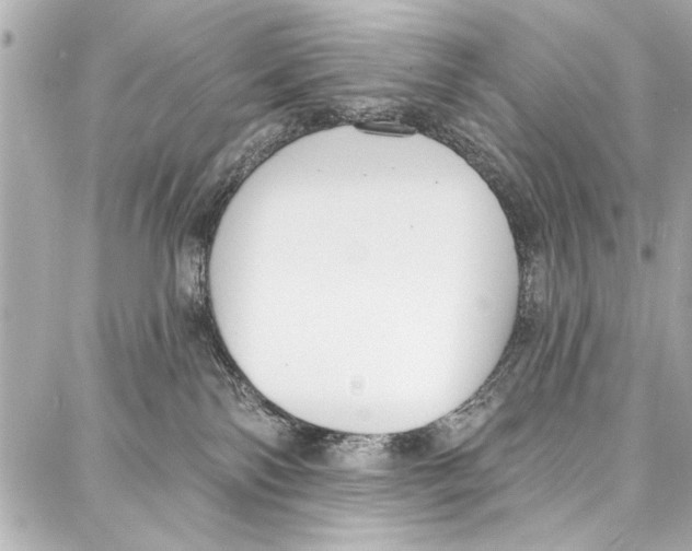 X0000086880138200705141420