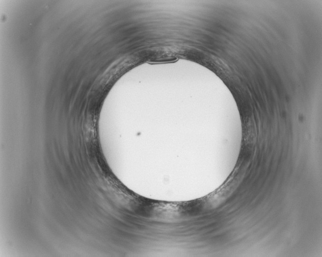 X0000086880140200705141420