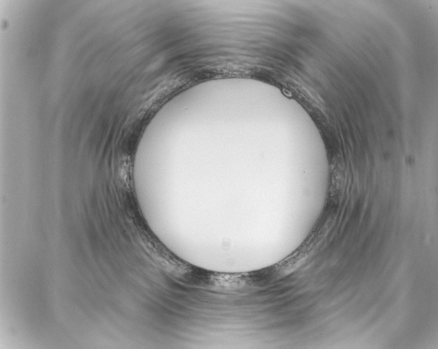 X0000086880141200705141420