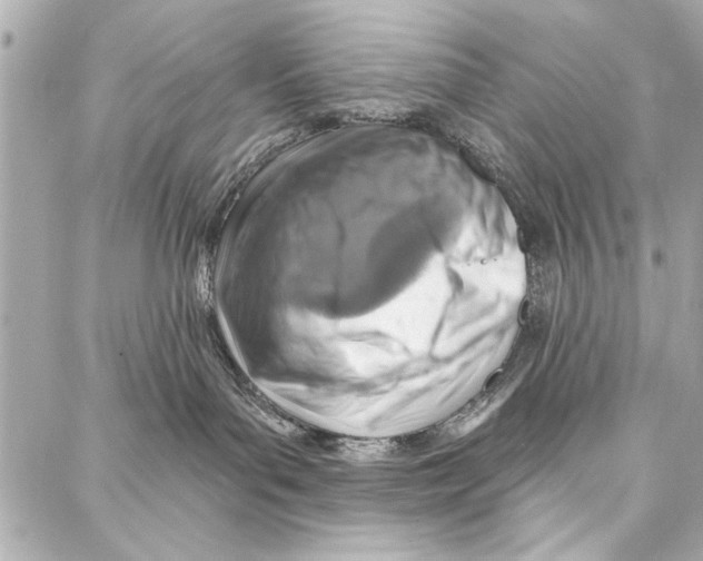 X0000086880143200705141420