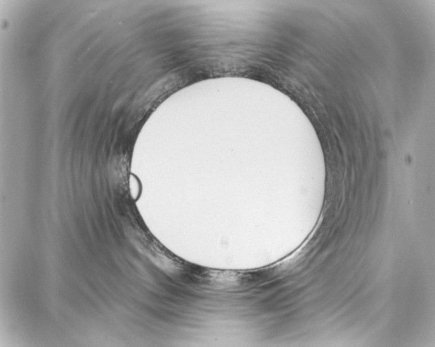 X0000086880144200705141420