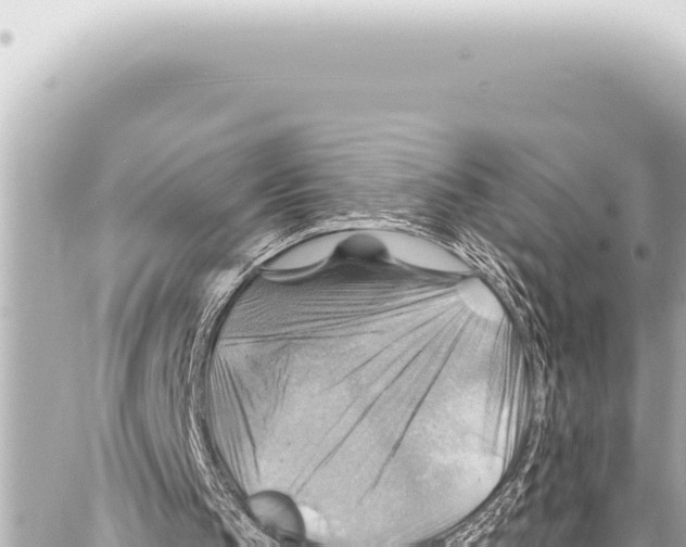 X0000086880145200705141419