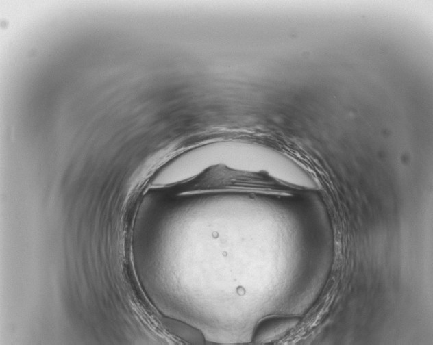 X0000086880149200705141419