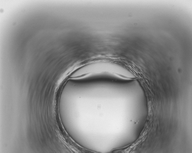 X0000086880150200705141419