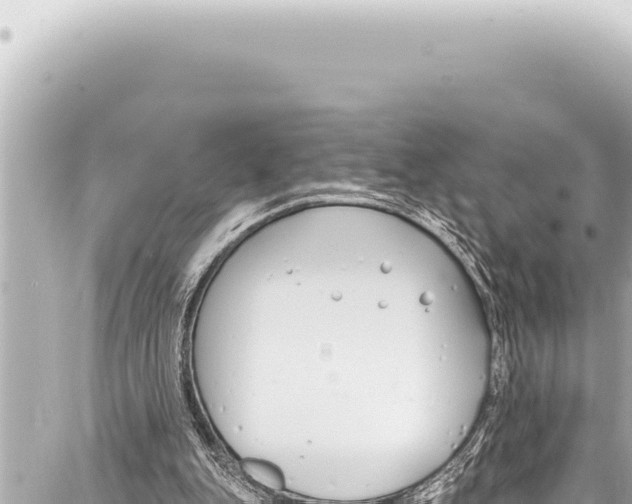 X0000086880151200705141419