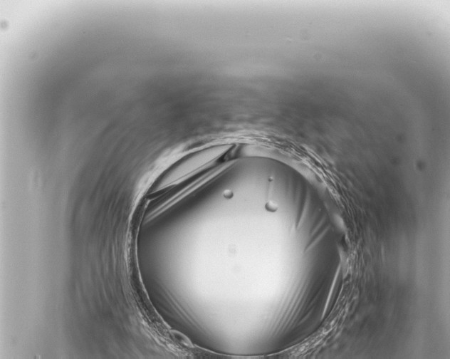 X0000086880152200705141419