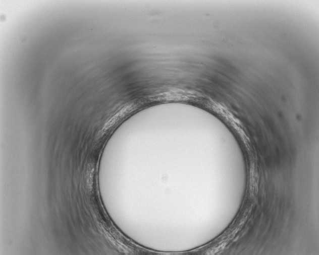 X0000086880153200705141419