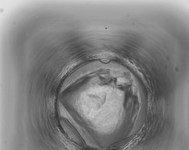 X0000086880154200705141419