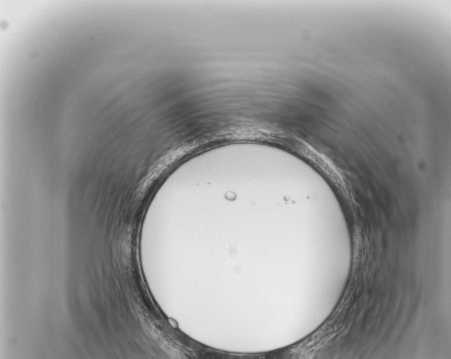 X0000086880155200705141419