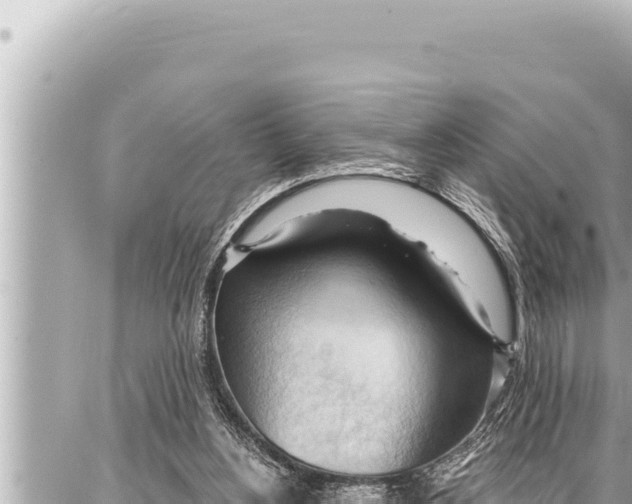 X0000086880156200705141419