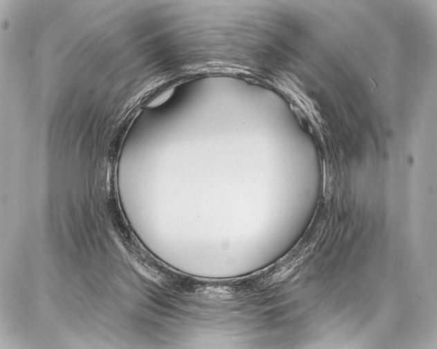 X0000086880157200705141419