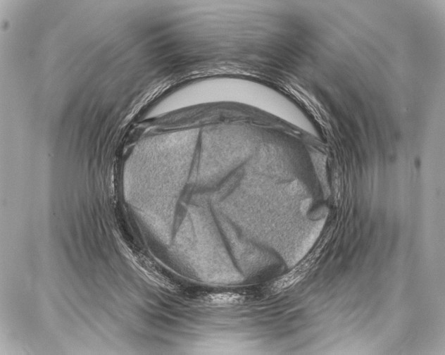 X0000086880158200705141419