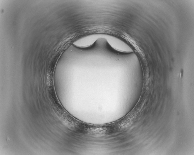 X0000086880161200705141419