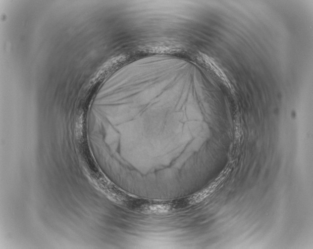 X0000086880163200705141419