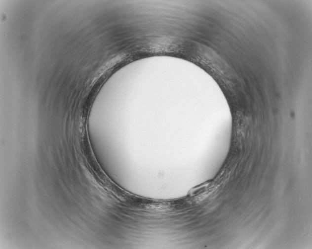 X0000086880164200705141419